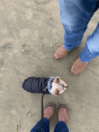 At the beach with my son and little dog