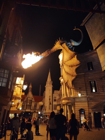 Dragon at Harry Potter in Universal, Florida 