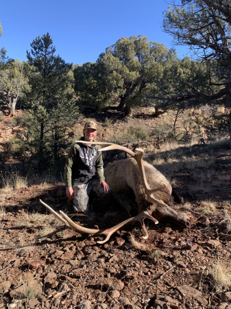 Andrew Bull Elk November 2022