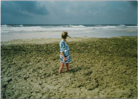 Gulf Shores, AL, 1995? I