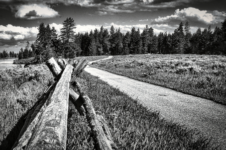 Yellowstone Lines