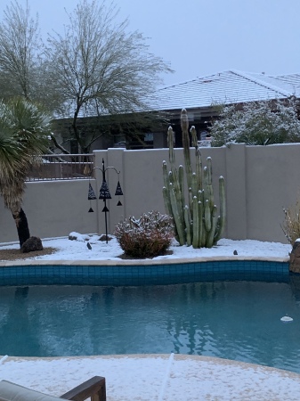 Yes   There is snow in Scottsdale 