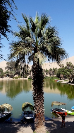 Huacachina Oasis Peru 