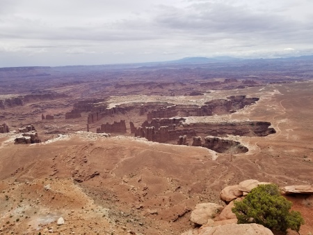 Canyonlands National Park,  06-16-18