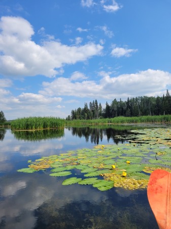 Kayaking on the lake