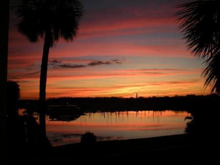 view off my balcony.