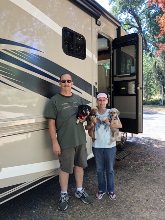 Camping 2018 with our fur babies 