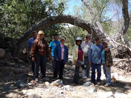 Tree atached at both ends over creek bed