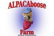 Alpacaboose Farm's Classmates® Profile Photo