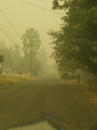 Wildfire smoke looking down our road.