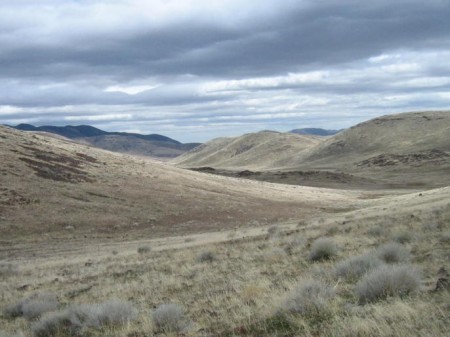 Along The California Trail (1849)