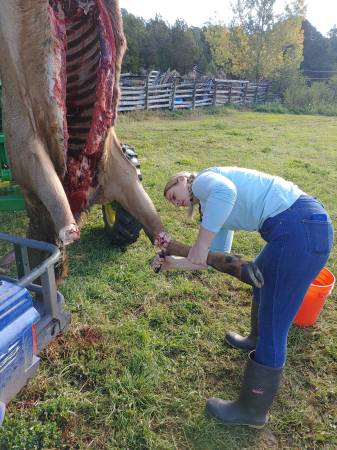 Baby Girl working on Fat Cow Elk