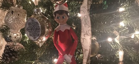 Elf on the Shelf…