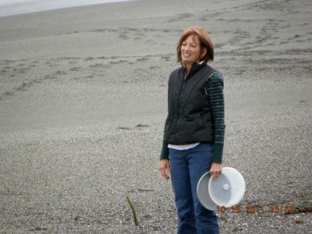 Bodega Bay 2011