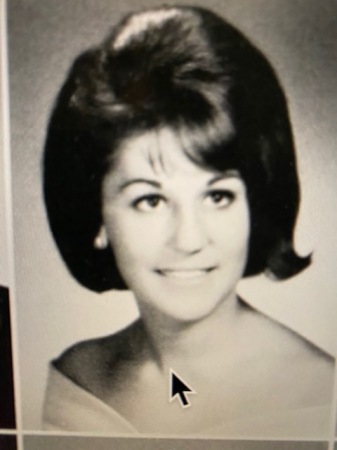 Susan Sanera's Classmates profile album