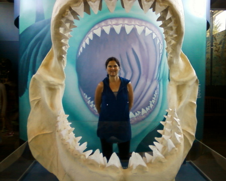 Newport, Oregon Aquarium 2014