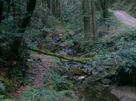 Love Creek, Santa Cruz County