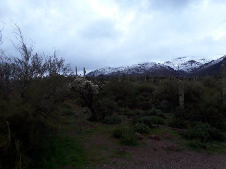 On winter day in Arizona