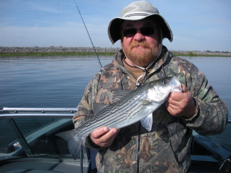 Delta striper 11/12