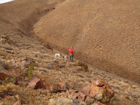 Chasing Chukar in the Tobins.