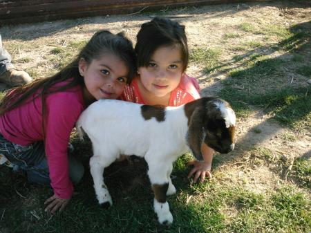 Two little granddaughters (out of 7 total!)