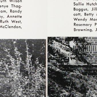 Shirley Talley's Classmates profile album