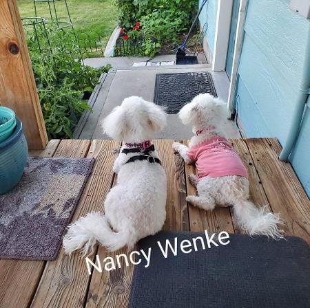 Nancy Wenke's Classmates® Profile Photo