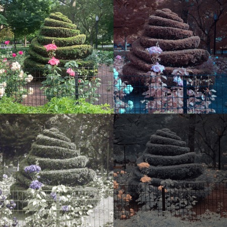 Multispectral Montage in Boston Public Gardens