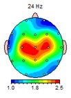 Brain Mapping of My Brain