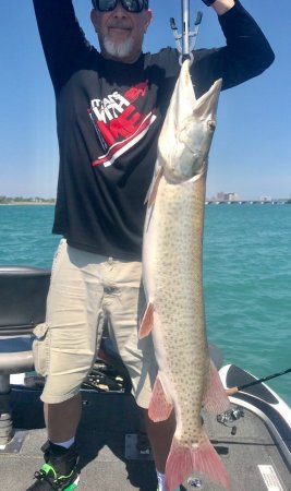 Muskie, caught in the Detroit River - 2018