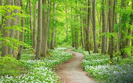 A walk to farmhouse.