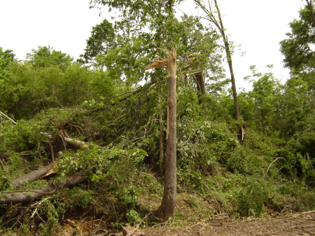 tornado damage 10 mins from home .