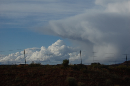 shark cloud