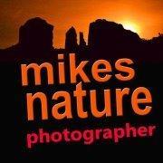 Mikesnature Nature's Art's Classmates® Profile Photo