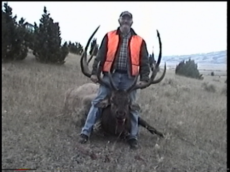 Biggest Elk I've shot so far