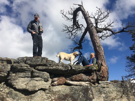 Snag on rocky outcrop