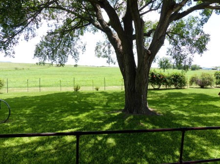 View from the front deck of our Texas house