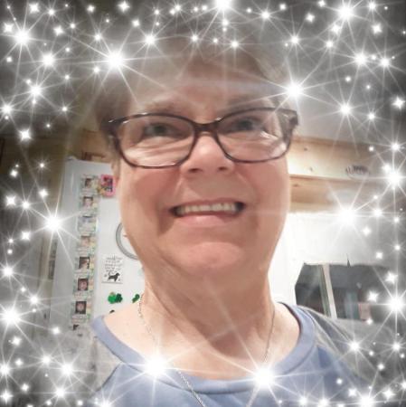 Donna Phillips's Classmates® Profile Photo