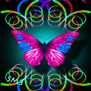 The Idaho Butterfly  :)