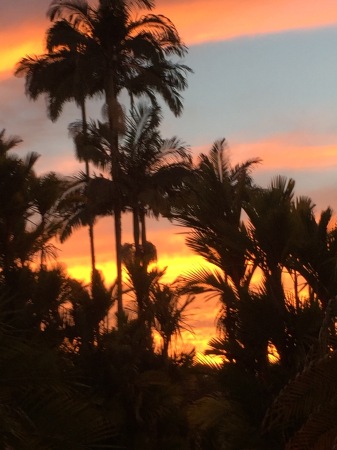 Hawaiian Sunrise