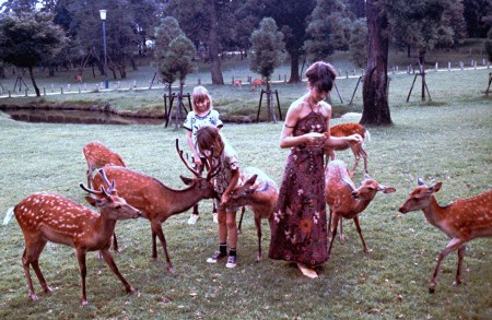 Me and my boys in Nara, Japan, 1975.