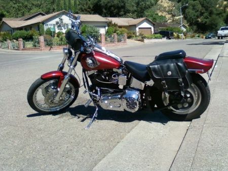 91 custom softail