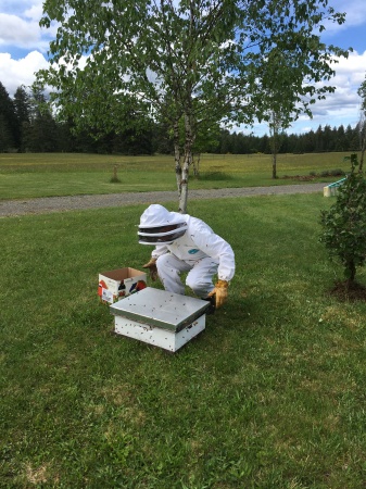 Honey Bee Keeper