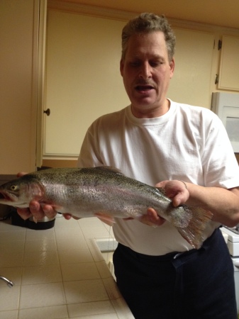 3.8lb  Rainbow Trout