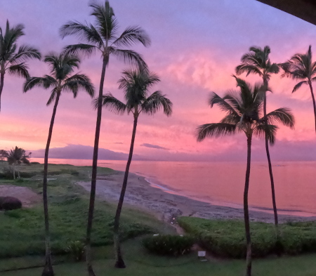 Kihei Condo