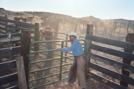 Working the Sorting Gate