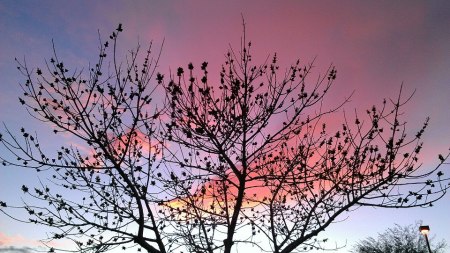 Beautiful Arizona Winter Sky February 20, 2013