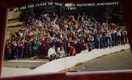 Class 1982 Yearbook 