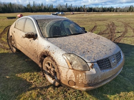 More Mud