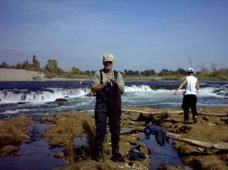 FeatherRiver Salmon